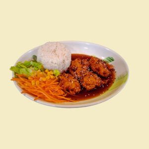 H - Kylling Teriyaki med ris
